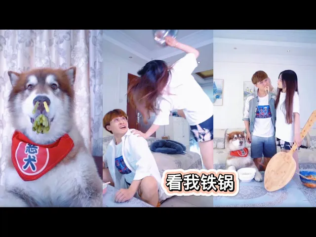 日常搞笑/神犬多多/看招 狗狗學人吃東西是認真的嗎?哈哈 姜還是老的辣 爆笑家族